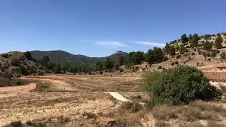 Finca de caza, Norte de Murcia (1)
