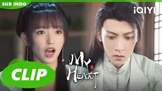 Lu Qing Qing menemukan Ganoderma🥺| My Heart | CLIP | iQIYI Indonesia