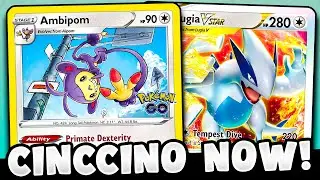 Cinccino/Lugia at home be like...