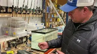 How to Rig the Clam Silkie- Deadly for Ice Fishing Panfish
