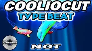 Cooliecut Type Beat - 