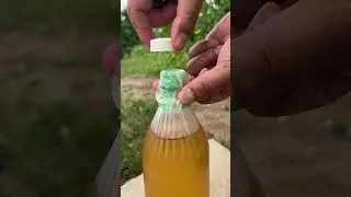 You&rsquo;ll Never Throw Away Bottle Caps Again After Seeing This!