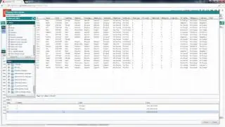 Descriptor Set up | Qualitative and Mixed Methods Data Analysis | Great Research Made Easy