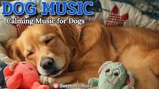 20 Hours of Calming Dog Music🦮💖Anti-Stress & Deep Sleep Melodies🎵🐶Calm & Serene, Dog TV