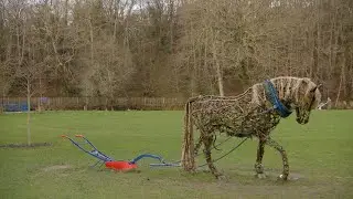 Art in the Park II
