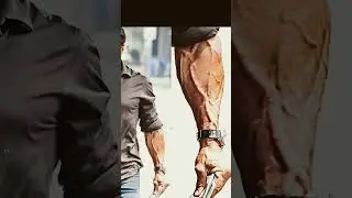 Sylvester Stallone bodybuilding secret !!! #bodybuilding #motivation #sylvesterstallone