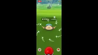 Catching a Shiny Stunfisk