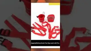 Running Dog Leash || 2023 😃 🔥  #aboundpetsupplies