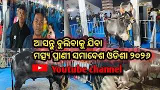 ଆସନ୍ତୁ ବୁଲିବାକୁ ଯିବା ମତ୍ସ୍ୟ ପ୍ରାଣୀ ସମାବେଶ ଓଡିଶା-୨୦୨୬#ଭୁବନେଶ୍ୱର ଓଡିଶା#ଜନତା ମଇଦାନ#matsya prani sambesh