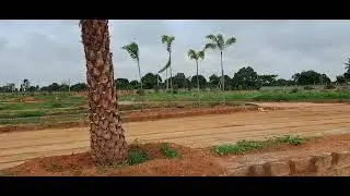 HMDA and RERA Approved Open Plots for sale LEMOOR 100 feet road faceing Kongarakalan Pharmacy City