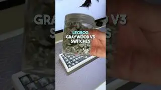 Leobog Graywood V3 Switches!