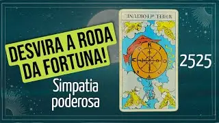 O DINHEIRO IR&Aacute; FLUIR SEM PARAR! SIMPATIA DA RODA DA FORTUNA!