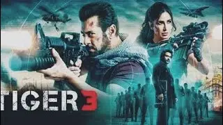 Tiger 3 | Summary