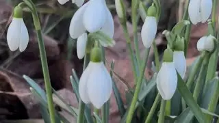Вдохновение в ПриРоде