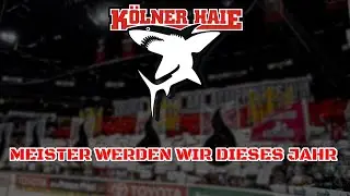 KÖLNER HAIE FANS - Meister werden wir dieses Jahr (Chant) (Lyrics)