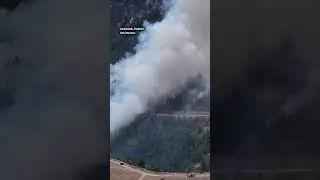 Wildfire breaks out in northern Turkey | ABS-CBN News