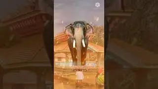 PUTTINGAL MEENABARANI 2022 STATUS