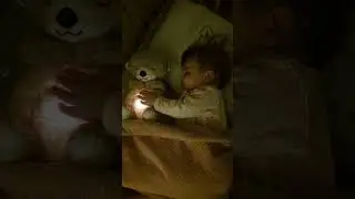This adorable, plush baby toy features a soothing breathing otter design and a gentle sound machine.