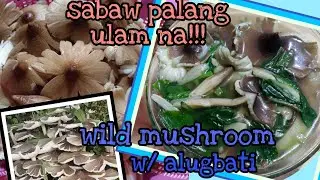 wild mushroom with malabar spinach recipe/ simpleng luto sa kabute at alugbati/ sabaw palang ulam na