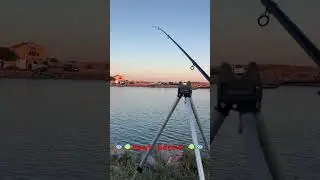 🐠 Allons &agrave; la p&ecirc;che 🐟 #poisson#p&ecirc;che#mer#passion