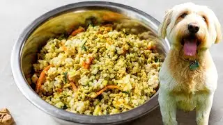 ДОМАШНИЙ КОРМ ДЛЯ СОБАК | рецепт здорового корма для собак