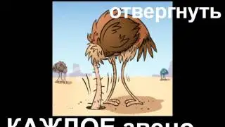 Что каждый креационист должен отрицать (by cdk007)