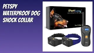 REVIEW (2026): PetSpy Waterproof Dog Shock Collar. Features
