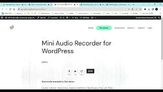 Roland Beaussant - WP Audio Editor & Recorder plugin quick presentation