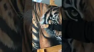 So. Many. Whiskers. #tiger #wildlifeart #acrylicpainting #painting #artist #art #tigerpainting
