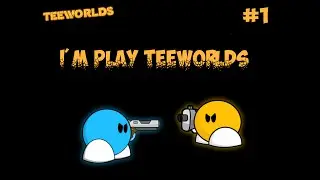 I'm play Teeworlds.Map:CTF5