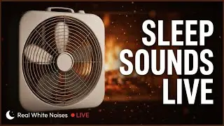 HIGH-VELOCITY FAN NOISE FOR SLEEPING 🌙 | WHITE NOISE LIVE