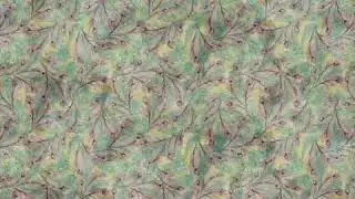 Pre Order your Springs Creative Fabrics before 26/09/2018 so you don&rsquo;t miss out