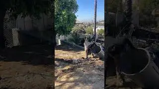Construction Debris Removal - Timelapse #beforeandafter #junkremoval #losangeles #construction