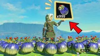 Как получить бесконечное количество бомбовых цветов | Zelda Tears of the Kingdom