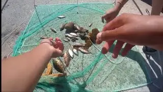 Je P&ecirc;che au CARRELET ( ... enfin j'essaye ) !