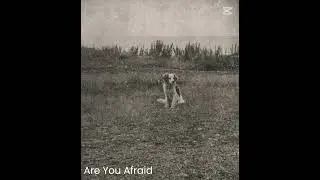 Yabu Beats - Are You Afraid? 😱 | #sampledbeats #instrumentalmusic #instrumentalbeats #chillmusic