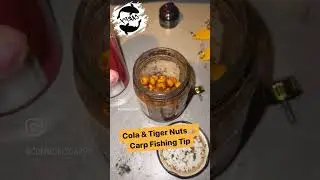 Quick Fishing Tip | Cola x Tigernuts |🔥 #carpfishing #bait