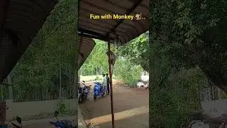 #justforfun😂😂..#tvk#vijayspeech#tollgate#shortsfeed#automobile#viralvideo#trending#travel#funnyvideo