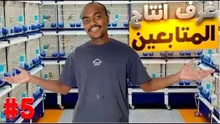 انتاج المتابعين#5