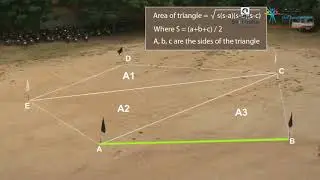 Calculate the Area of Each Triangle