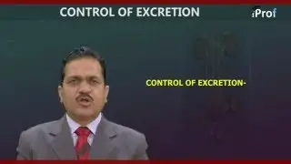 Excretion Control | AIPMT Biology Video Lecture