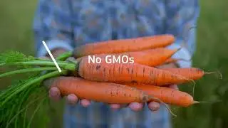 Action plan for organic production in the EU