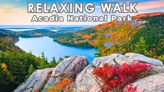 🌲 Cozy Maine Walk | Acadia National Park Cadillac Mountain South Ridge Trail Virtual Tranquil Hike 🍂