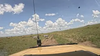 PART 2... THE UNCUT Maasai Mara SAFARI EXPEDITION @IShowSpeed @magicalkenyabrand 