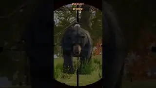 Hunting Bear| Simulator Gameplay #shot