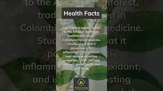 Archaic Living Health Facts: Cat's claw to boost the immune system #archaicliving #healthfacts