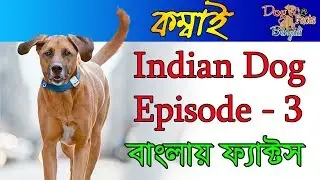 Kombai Dog Facts in Bengali | Indian Dogs | Dog Facts | Dog Facts Bengali