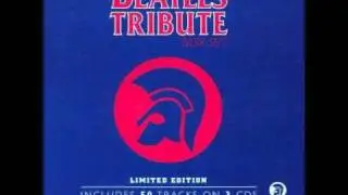 The Pioneer All Stars  - In My Life Dub
