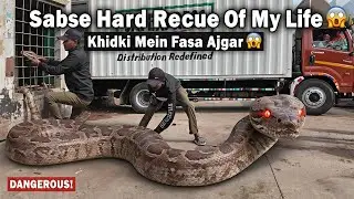 Most Difficult Rescue Ever 😱 | 15+ Feet Ajgar Stuck in Window #ajgarsaap #viral