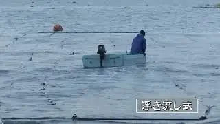 海苔（のり）ができるまで